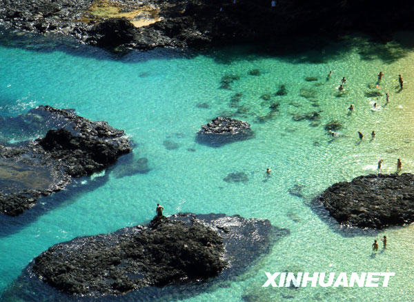 费尔南多—迪诺罗尼亚岛不朽情缘正规网站美